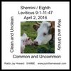 SHEMINI / EIGHTH  Leviticus 9:1-11:47