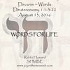 Devarim ~ The Words  - Deuteronomy 1:1-3:22