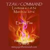 TZAV / COMMAND - Leviticus 6:1-8:36