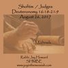 Shoftim ~ Judges  Deuteronomy 