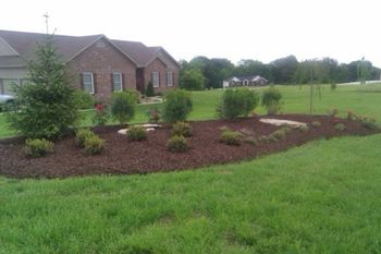 Mound designed and installed
