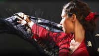 Aneta's Sangre Flamenco Show #Taunton