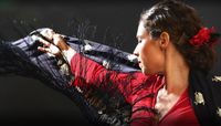 Sangre Flamenca #Taunton SOLD OUT