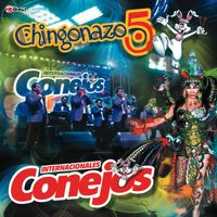 Chingonazo 5 de Internacionales Conejos Internacionales Conejos