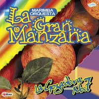 La Gozadera No. 7 de Marimba Orquesta La Gran Manzana