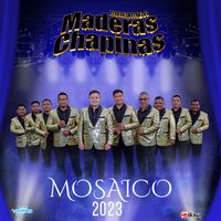 Mosaico 2023 de Marimba Maderas Chapinas