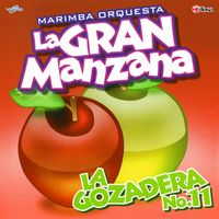 La Gozadera No. 11 de Marimba Orquesta La Gran Manzana