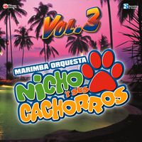 Vol. 3 de Marimba Orquesta Nicho y sus Cachorros