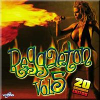 20 Exitos de reggaeton Vol. 5 de Salvaje