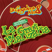 La Gozadera No. 8 de Marimba Orquesta La Gran Manzana