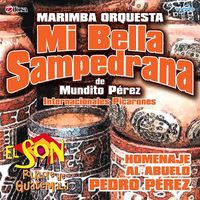 El Son Folklore De Guatemala Vol. 14 de Marimba Orquesta Mi Bella Sampedrana