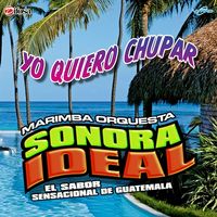 Yo Quiero Bailar (Yo Quiero Chupar) de Marimba Orquesta Sonora Ideal