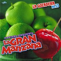 La Gozadera No. 13 de Marimba Orquesta La Gran Manzana