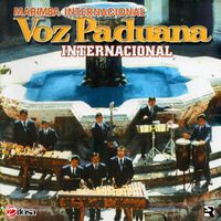 Internacional de Marimba Internacional Voz Paduana