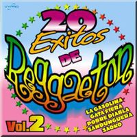 20 Exitos de Reggaeton Vol. 2 de Salvaje