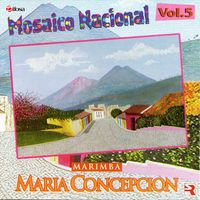 Mosaico Nacional Vol. 5 de Marimba María Concepción