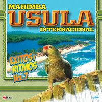 Exitos y Ritmos Vol. 7 de Marimba Usula Internacional