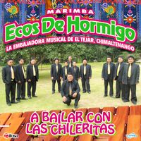 A Bailar Con Las Chileritas de Marimba Ecos De Hormigo