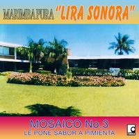 Mosaico No. 3 Le Pone Sabor a Pimienta de Marimba Pura Lira Sonora