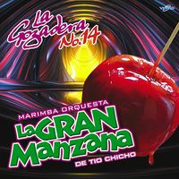 La Gozadera No. 14 de Marimba Orquesta La Gran Manzana