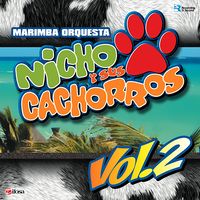 Vol. 2 de Marimba Orquesta Nicho y sus Cachorros