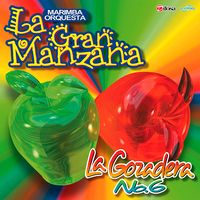 La Gozadera No. 6 de Marimba Orquesta La Gran Manzana