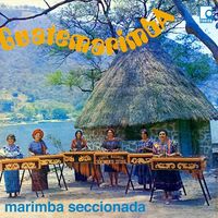 Marimba Seccionada de Guatemarimba