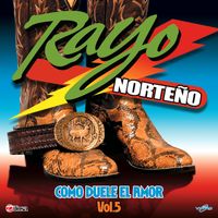 Como Duele El Amor Vol. 5 de Rayo Norteño