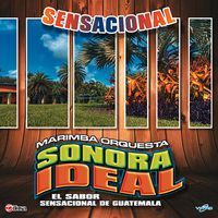 Sensacional de Marimba Orquesta Sonora Ideal