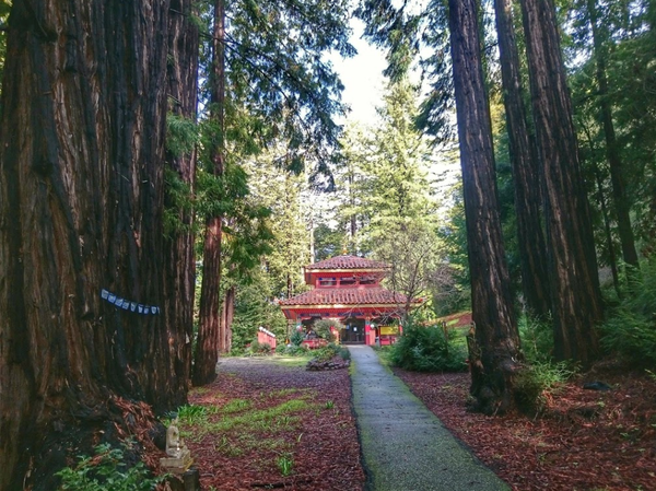 Santa Cruz Mountain Redwood Mandala Retreat Land of Medicine