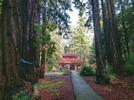Santa Cruz Mountain Redwood Mandala Retreat for 2• Land of Medicine Buddha