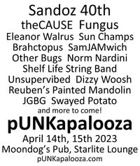 theCAUSE at pUNKapalooza