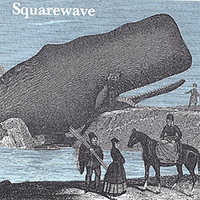 Squarewave (aka Dullhead): CD