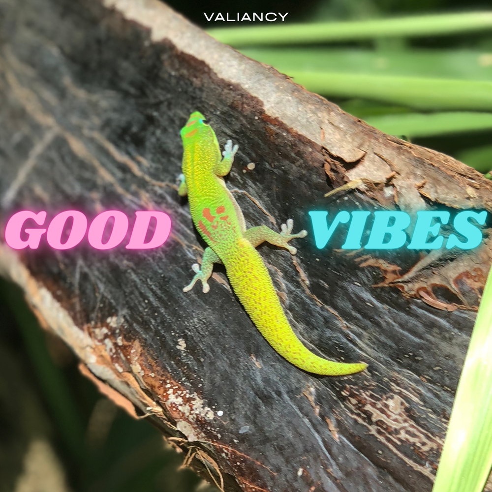 Valiancy Good Vibes
