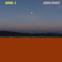 Aerial 2 by David Binney