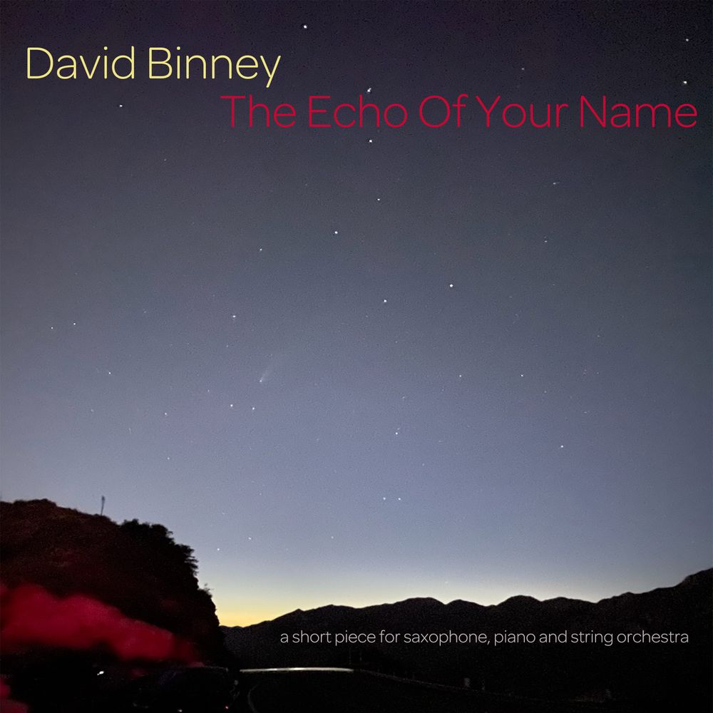 David Binney