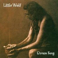 Dream Song by Little Wolf Band