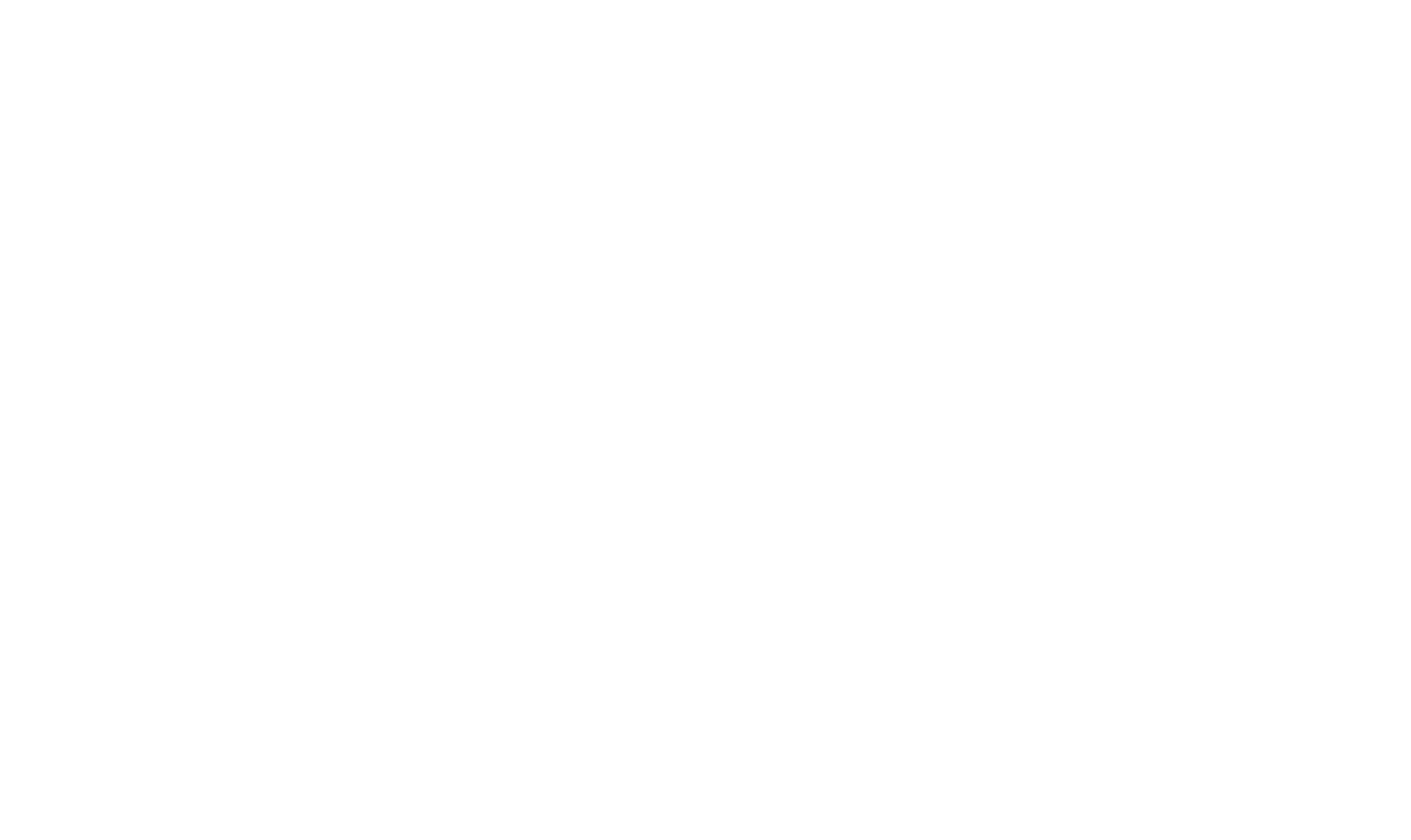 Into The Fog