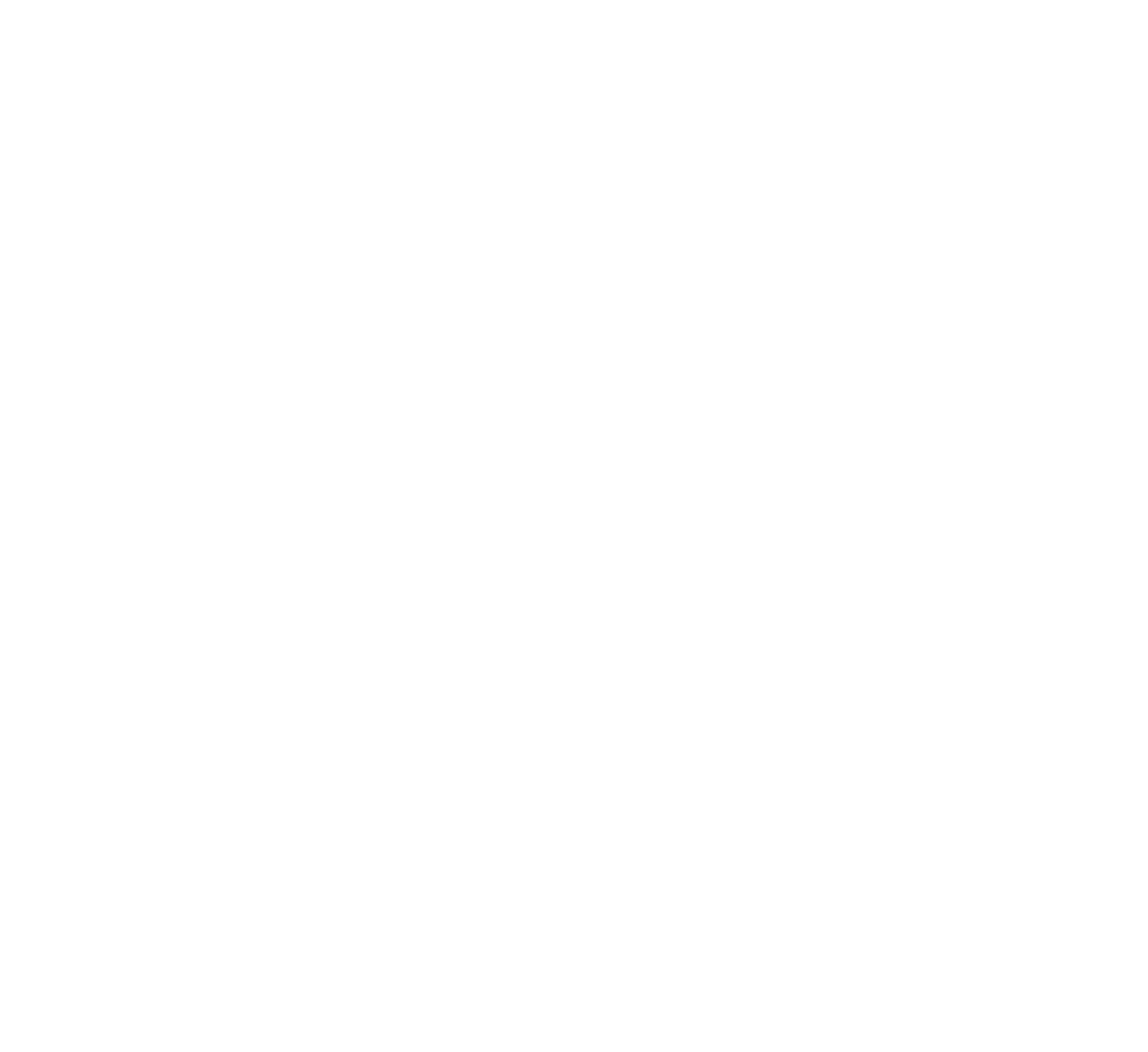 Into The Fog