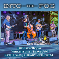 Into The Fog at The Palm Room