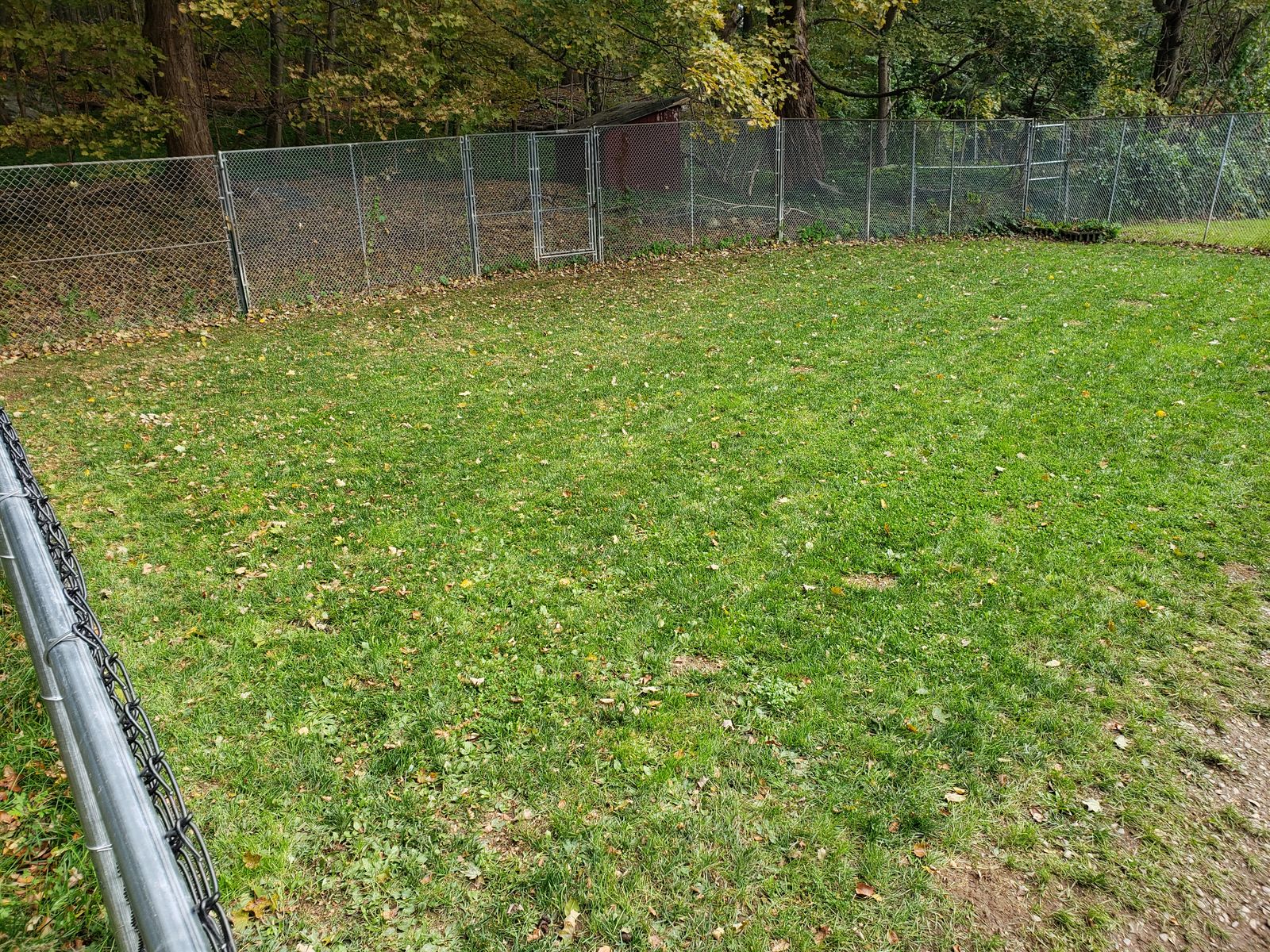 Happy Days Kennel, Inc. Our Facility