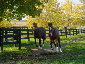 Racing with her sister Clancy.
