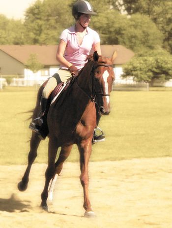 Jennifer got to ride a variety of our young horses and sale horses. This is Jennifer in a lesson, riding Regina.

