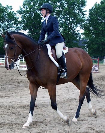 Jennifer and Evil Genius had the opportunity to compete in beginner hunters and equitation.
