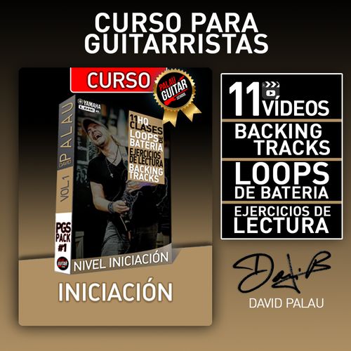 CURSO INICIACION - PALAU GUITAR SCHOOL