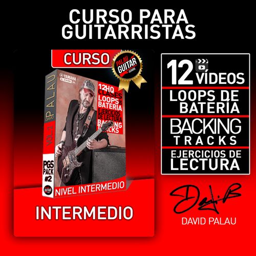 CURSO INTERMEDIO - PALAU GUITAR SCHOOL