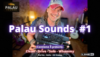 PACK PALAU SOUNDS #1  ( 4 PRESETS )