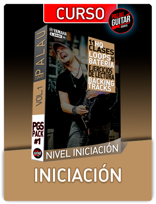 CURSO INICIACION - PALAU GUITAR SCHOOL