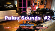 PACK PALAU SOUNDS  #2  ( ACÚSTICO ) - 4 PRESETS