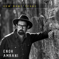 How Many Tears by Enok Amrani